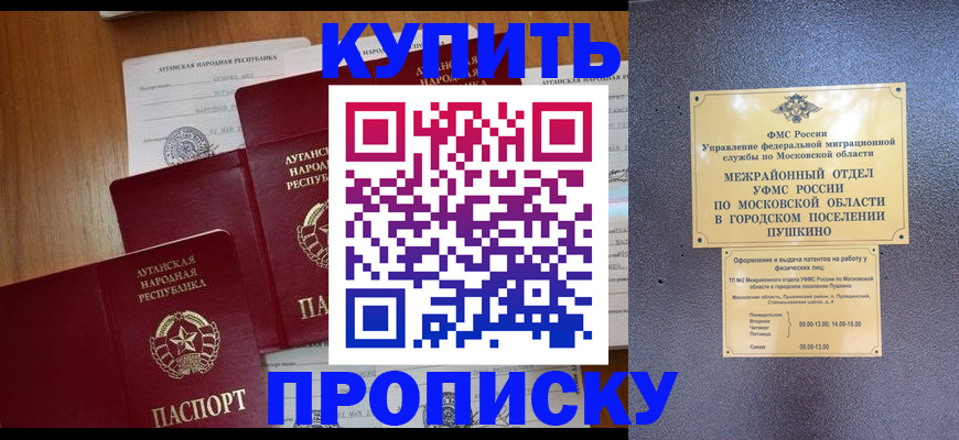 прописка в квартире в Курчатове